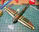 spf-29.jpg
