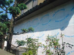 SN3B3663.JPG