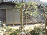 SN3B3330.JPG