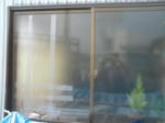 SN3B3856.JPG