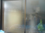 SN3B3857.JPG