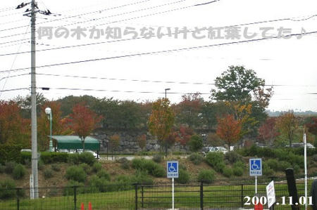 公園の駐車場は紅葉中～