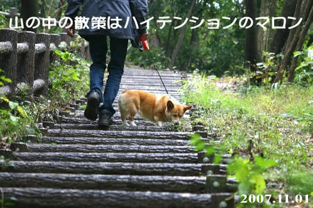 足取り軽やかでも匂い取りも多かった（＾＾;