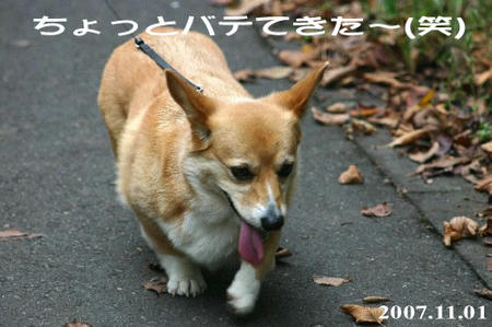 ちょっと気温高めかな？
