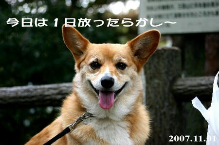 甥っ子のお守りに行ってました～（＾＾）