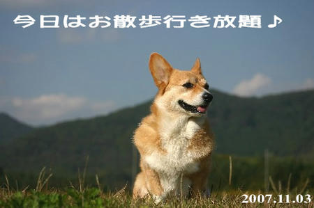 この時はまだ余裕でした～