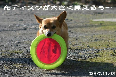 取り方忘れました・・・(^^;