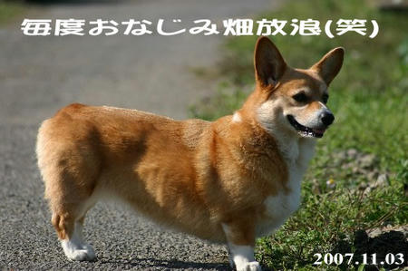 そろそろ新しいのを撮るか･･･。