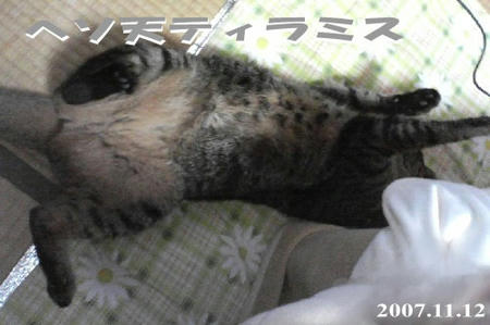 起きずに寝てます（笑）