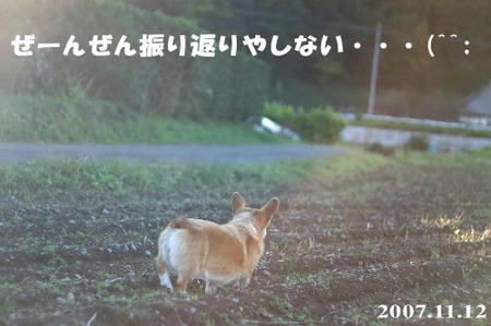 逆光で撮ってみた(^^)