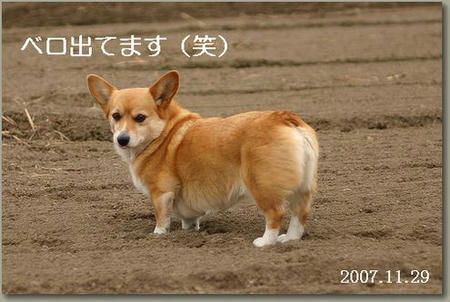 久々のカメラに不審顔（＾＾；