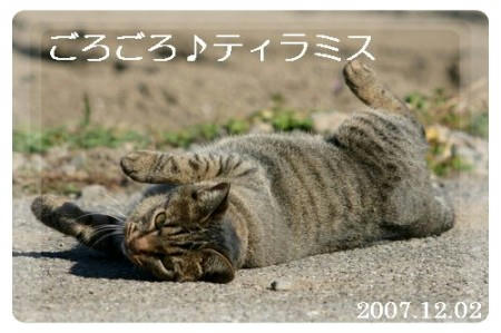 遊び足りてないのか･･･？