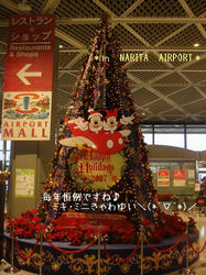 DSC03700.JPG