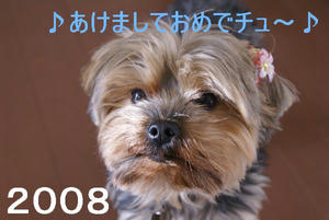 4dc256d7.jpg