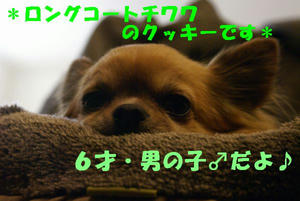 c3df0710.jpg