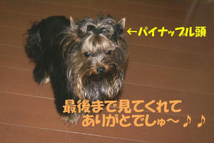 091ef4f0.jpg