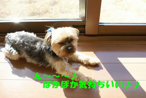 374dbd66.jpg
