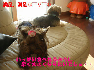 f97975d1.jpg