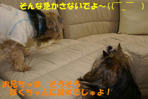 c86afde0.jpg