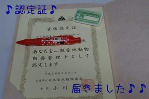 f66c8746.jpg