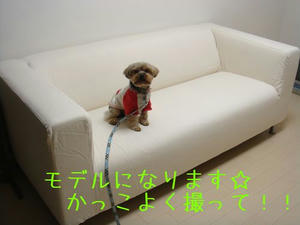 8ae22a49.jpg