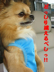 629a587f.jpg