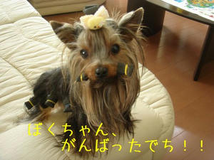 5637c4a8.jpg