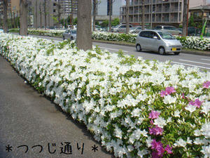 f3cc9349.jpg