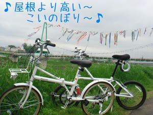 9646800e.jpg