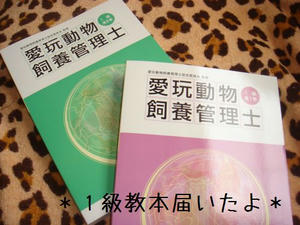 c73c4884.jpg