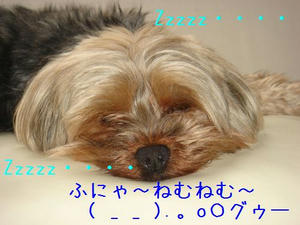 5fbfa27e.jpg