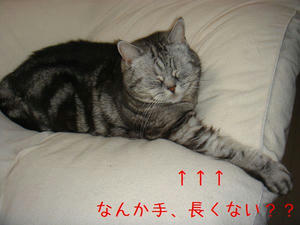 7e68b881.jpg