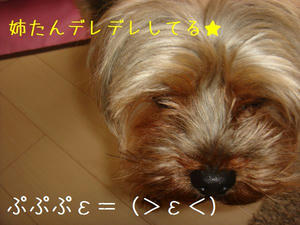 9b346dac.jpg