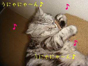 a9843e48.jpg