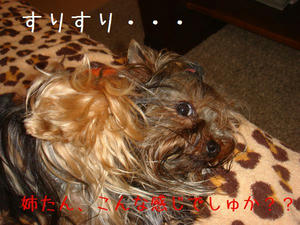 d6903b46.jpg