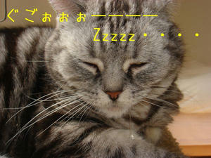 dd887409.jpg