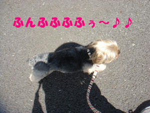 6442f03a.jpg