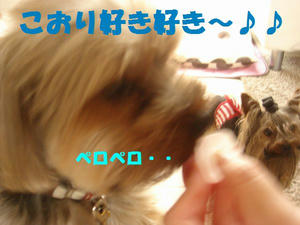 09642fe9.jpg