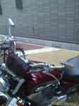 IMAG0010.jpg