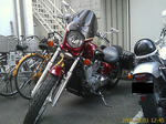 IMAG0055.jpg