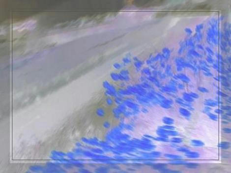 dfcadda921ad0967fdf10da66a6cd64a.jpg