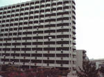 54aa4837.jpg