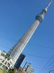 61932263490.jpg
