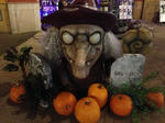 IMG_1126.JPG