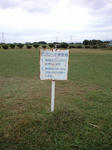 CA390099_R.JPG