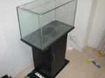 CIMG4806.JPG