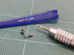 CIMG6745.JPG