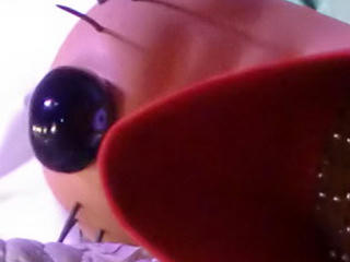 エプロンペコス。