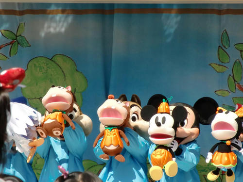 かぼちゃ♪かぼちゃ♪