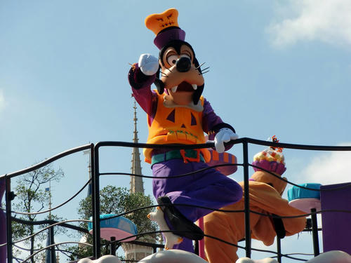 カボチャと骨と紫と。